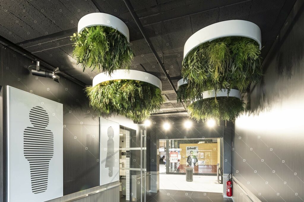 Amenagement Vegetal Design Decor Naturel Centre Commercial Reims Chalons Pierry