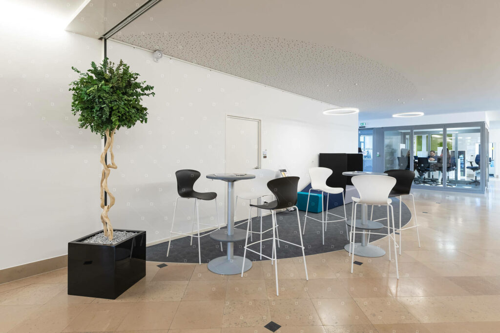 Arbre Interieur Amenagement Bureau Cafeteria Espace De Repos