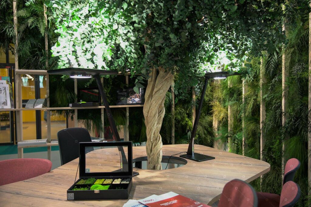 Arbre Interieur Bureau Architecte Decorateur Agenceur Paris Ile De France