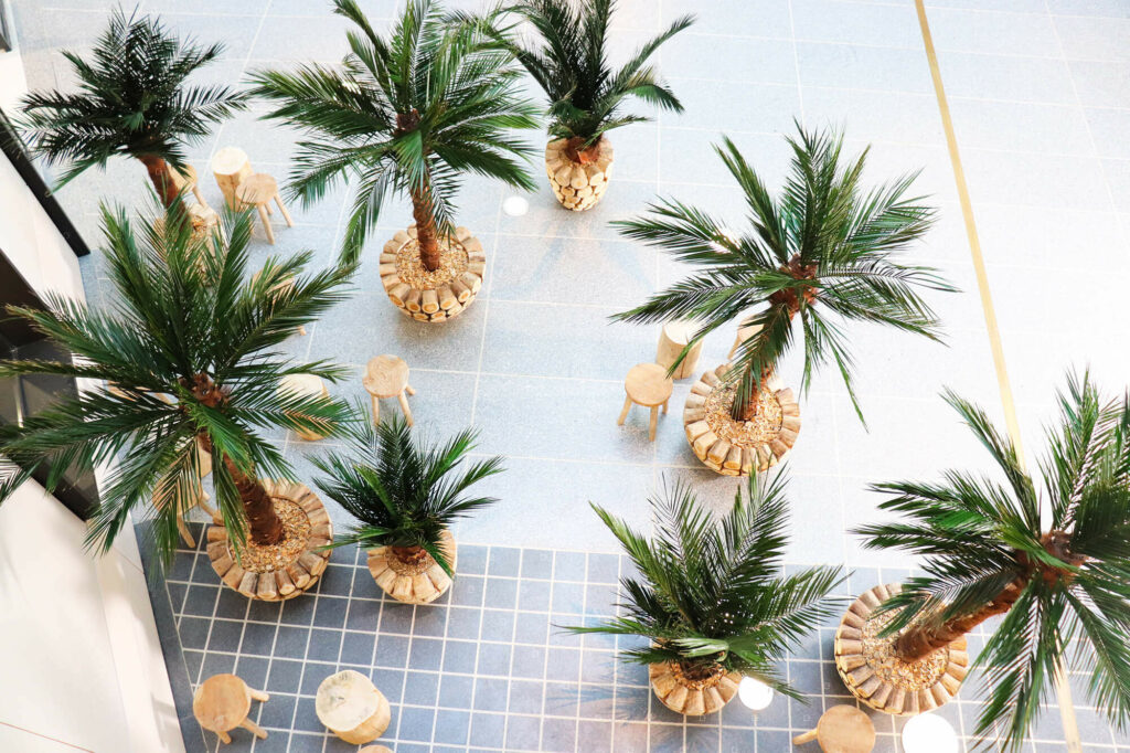 Arbres-Interieur-Plantes-Stabilisees-Naturelle-Paris