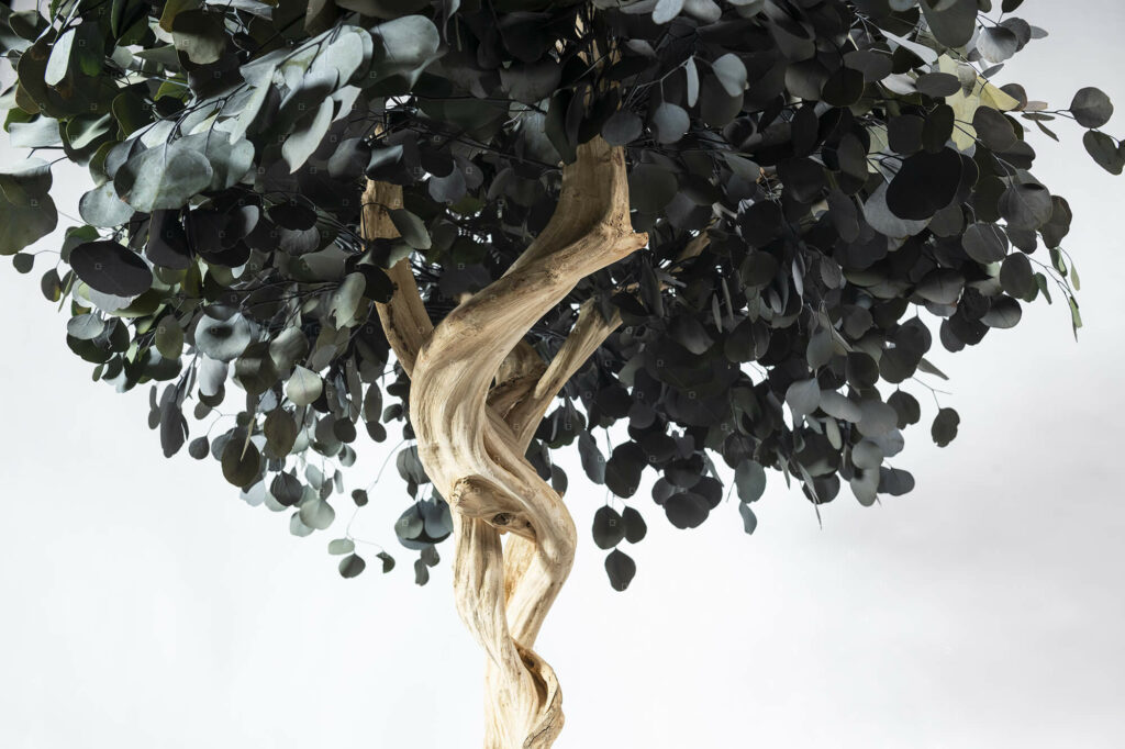 jardiniere-sans-entretien-arbre-d-interieur-cafeteria-lille