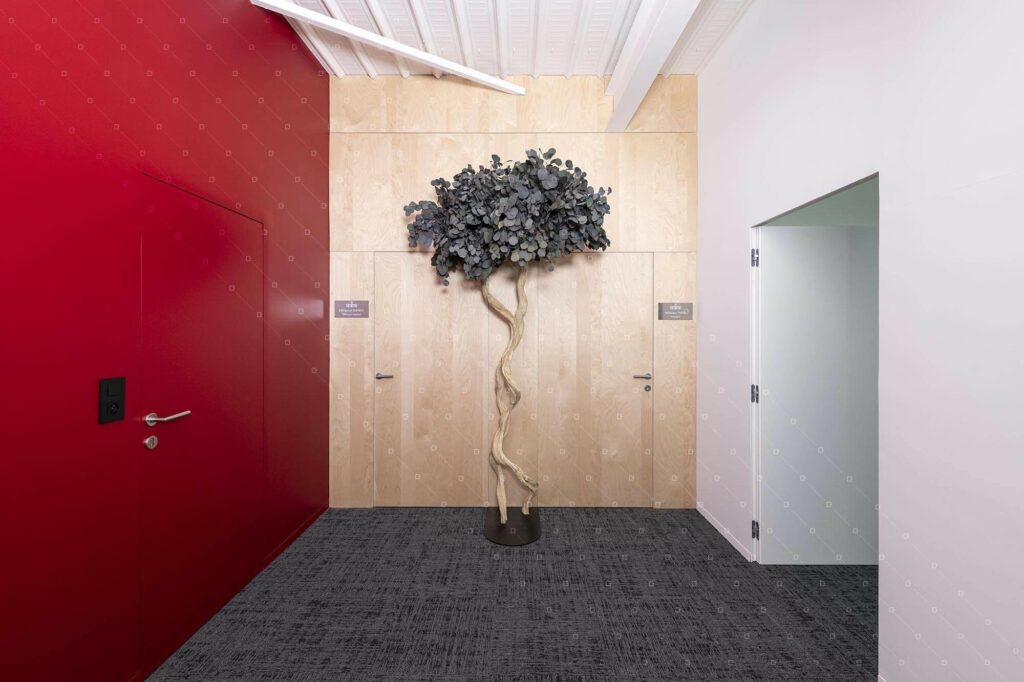 Arbre-Sur-Mesure-Deco-Zen-Bien-Etre-Bureau-Troyes