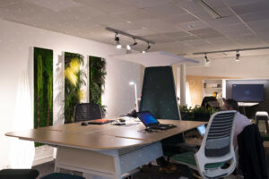 Cadre Vegetal Stabilise Bureaux Openspace Coworking Paris