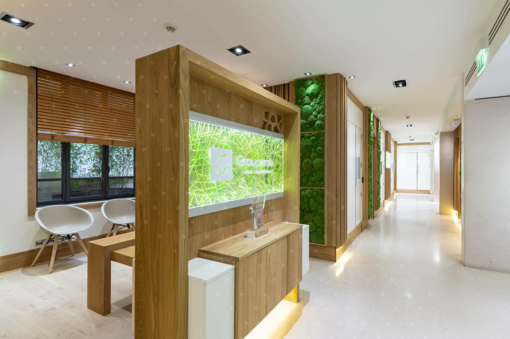 Cloison Acoustique Naturelle Plantes Stabilisees