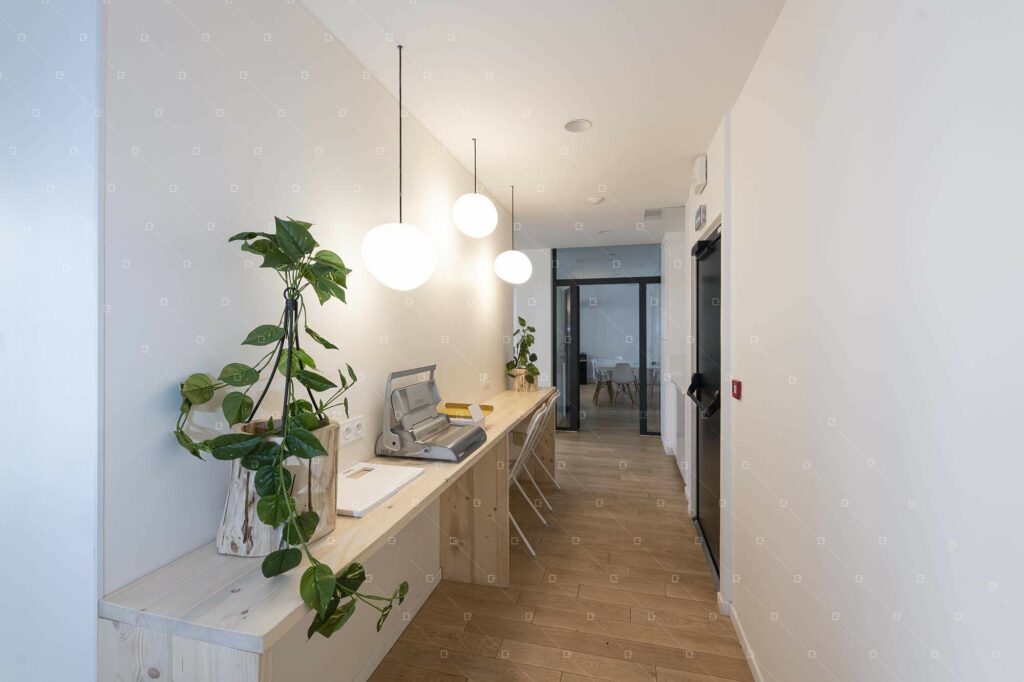 Decor-Vegetal-Artificiel-Sans-Entretien-Paris