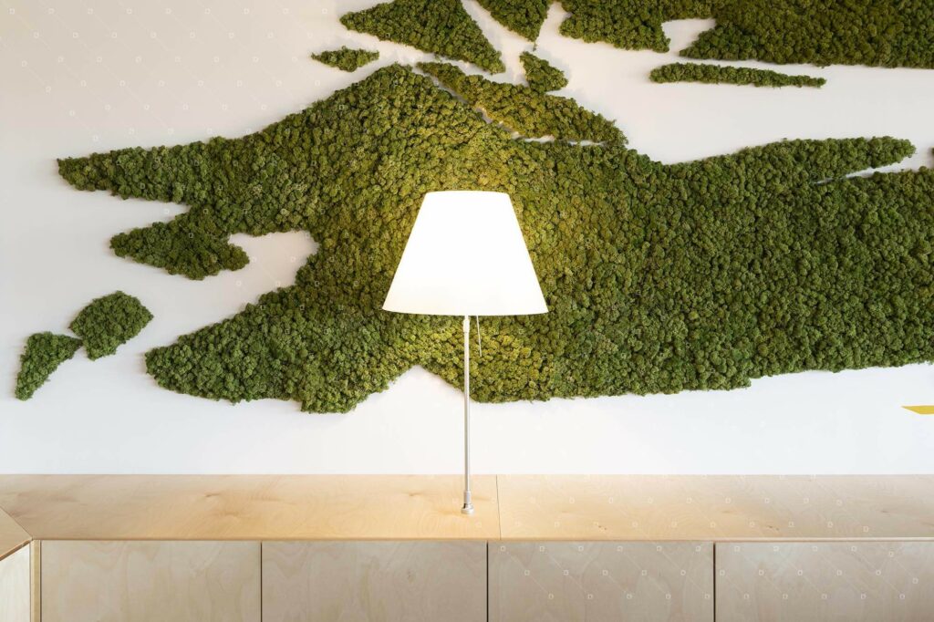 Decor-Vegetal-Design-Plantes-Stabilisees-Sans-Entretien-Troyes-Cadre-Vert