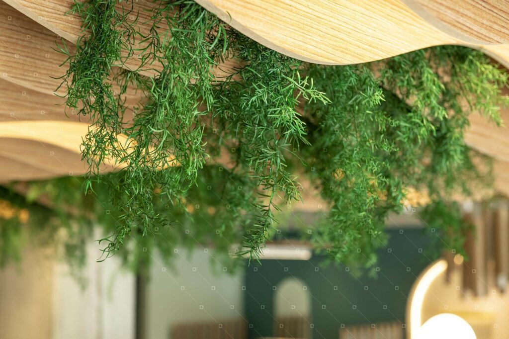 Decor-Vegetal-Rse-Qualite-De-Vie-Au-Travail-Vegetal-Stabilise-Reims