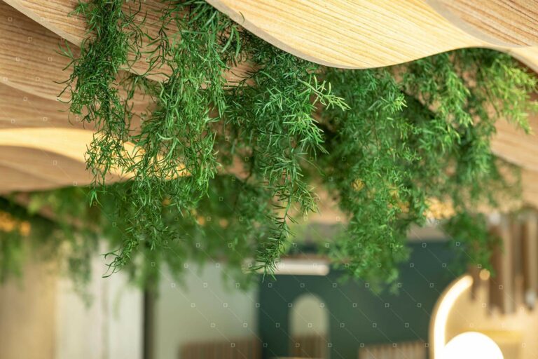 Decor-Vegetal-Rse-Qualite-De-Vie-Au-Travail-Vegetal-Stabilise-Reims