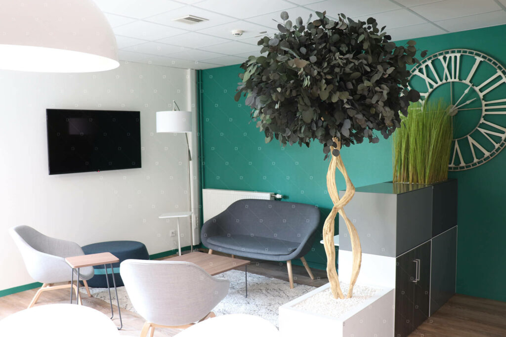 jardiniere-sans-entretien-arbre-d-interieur-cafeteria-lille
