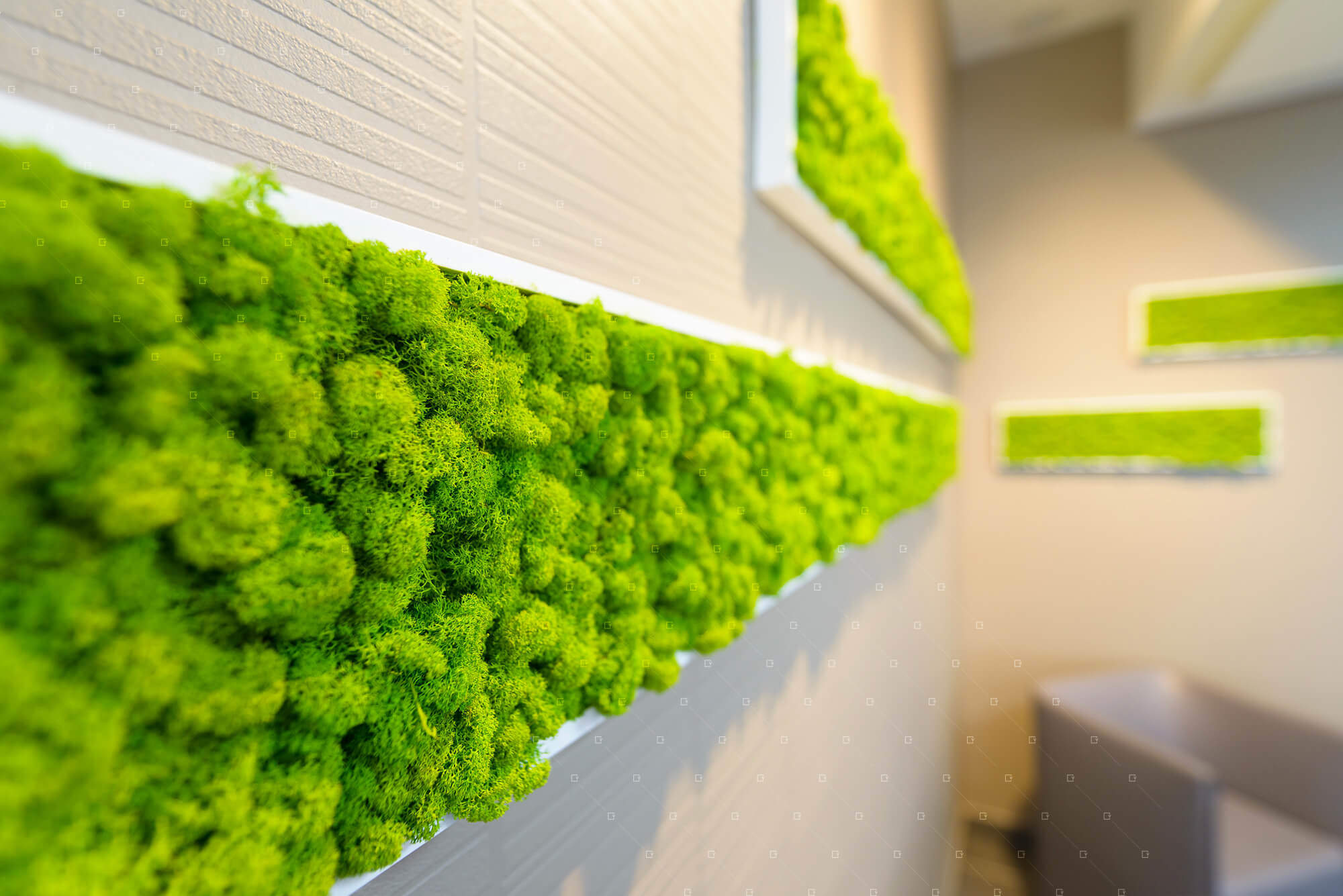 Lichen-stabilise-architecte-decorateur-marne