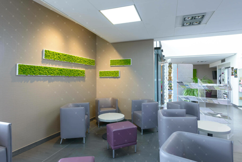 hall-d-accueil-hotel-vegetal-stabilise-lichen