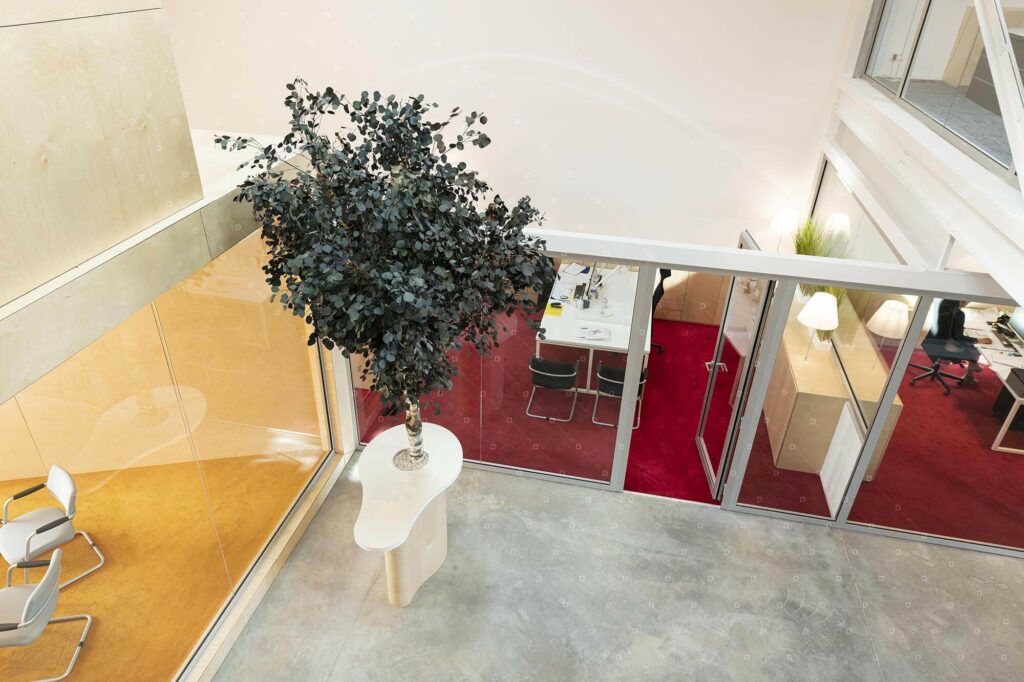 Grand Arbre Specialiste Vegetal Design Indoor Marne Reims Cadre Vert
