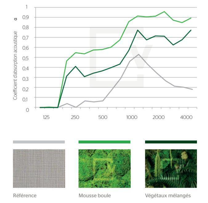 Graphique Performance Acoustique Mur Vegetal Interieur