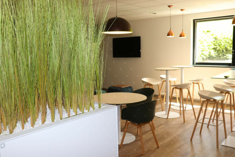 jardiniere-sans-entretien-jardiniere-interieur-cadre-vert
