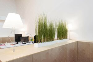 Jardiniere Sur Mesure Bureau Openspace Coworking Reims Cadre Vert