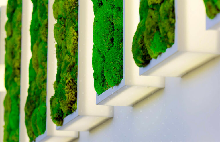Logo-Lumineux-Plante-Naturelle-Stabilisee-Sans-Entretien-La-Ciotat