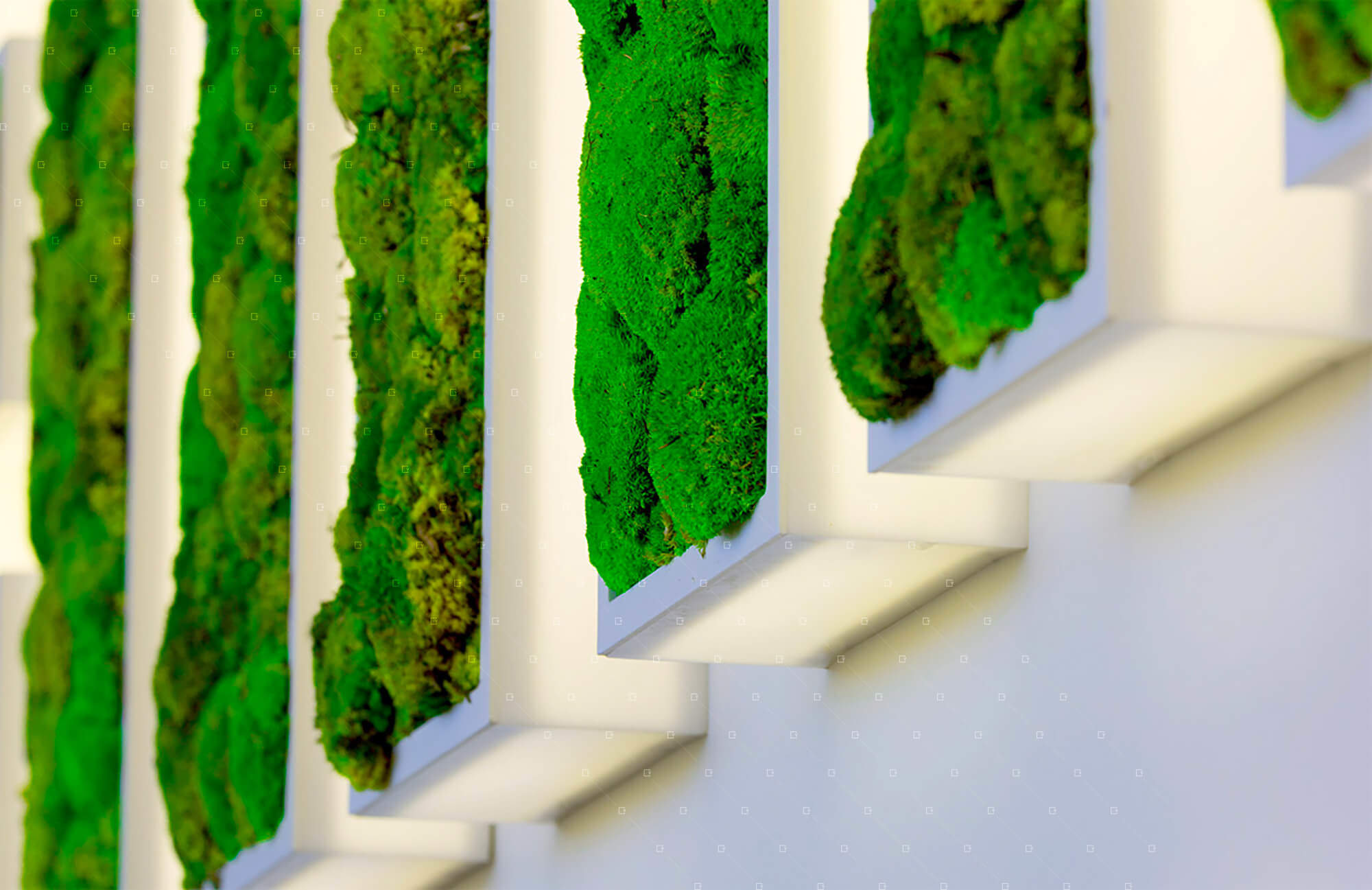 Logo-Lumineux-Plante-Naturelle-Stabilisee-Sans-Entretien-La-Ciotat