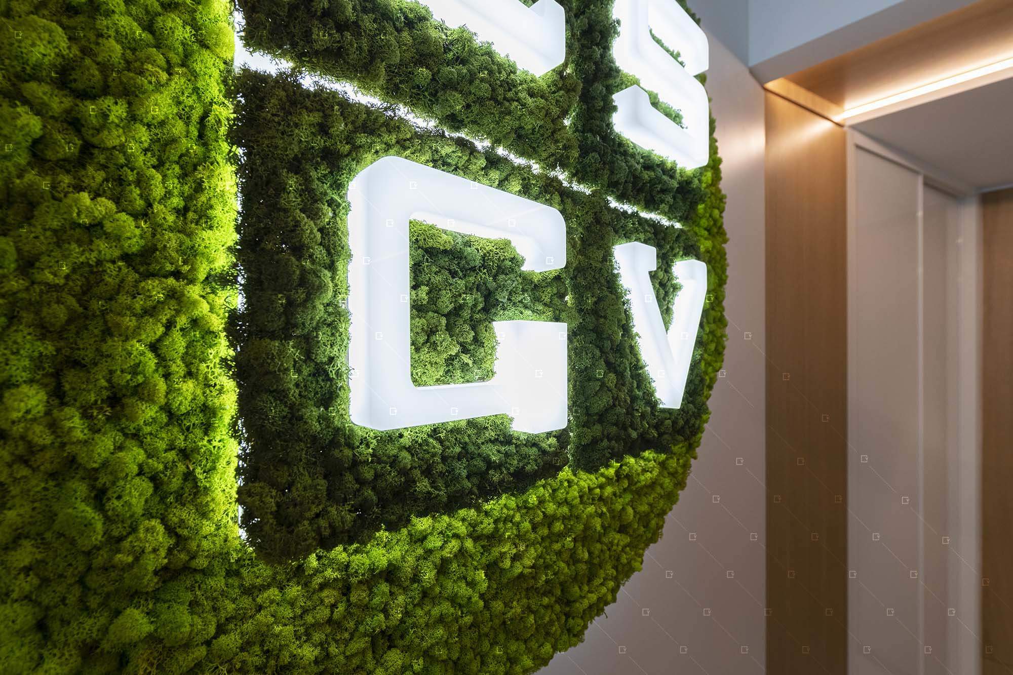 Logo Lumineux Plante Stabilisee Sans Entretien Design Indoor Reims
