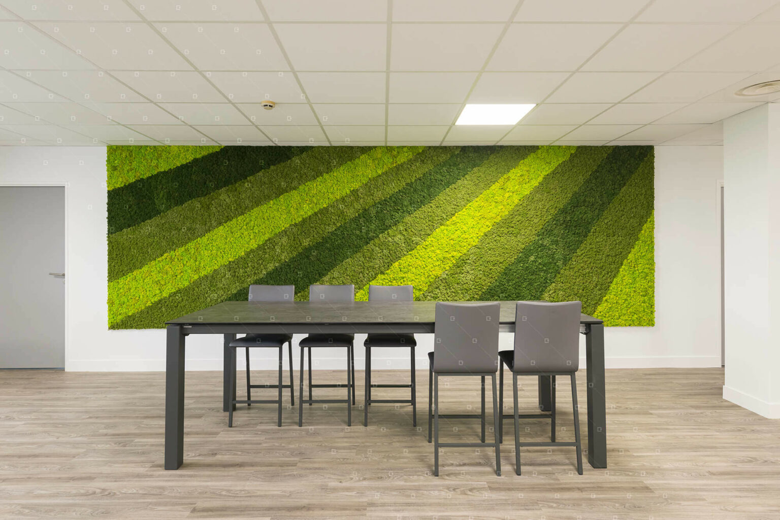 Mur végétal intérieur naturel ou stabilisé ? Avantages, Entretien — free download