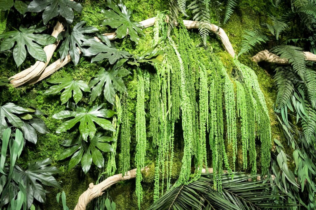 Mur Vegetal Interieur Jungle Decor Vegetal Design Creation Sur Mesure