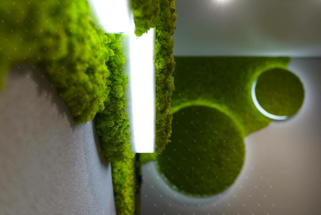 Mur-Vegetal-Interieur-Retroeclairage-Sur-Mesure-Reims