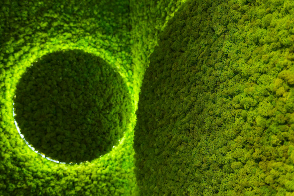 Mur-Vegetal-Stabilise-Traitement-Acoustique-Reduire-Bruit-Champagne-Ardennes