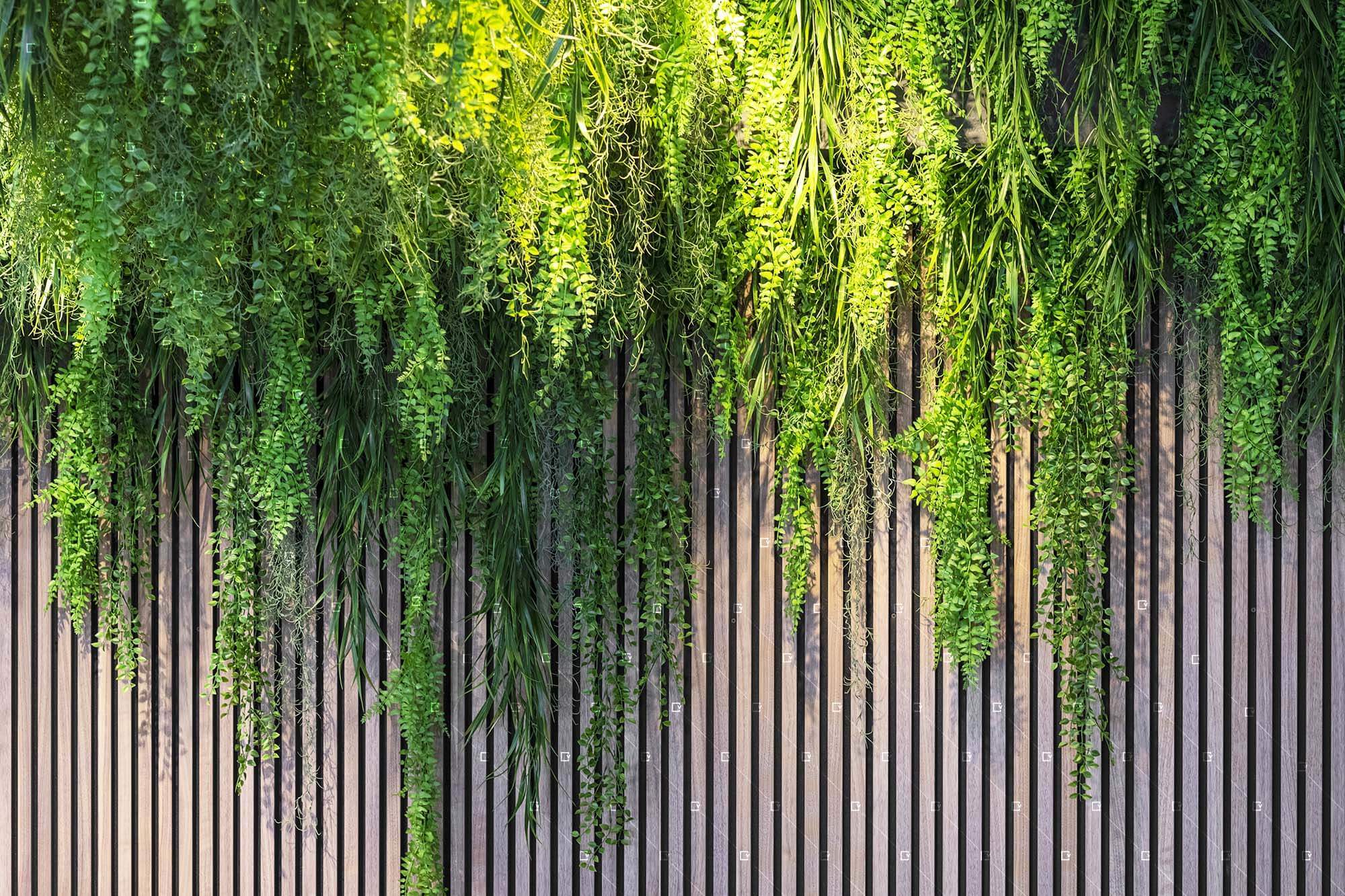 Mur Vegetal Synthetique Plantes Synthetiques Deco Zen Reims France