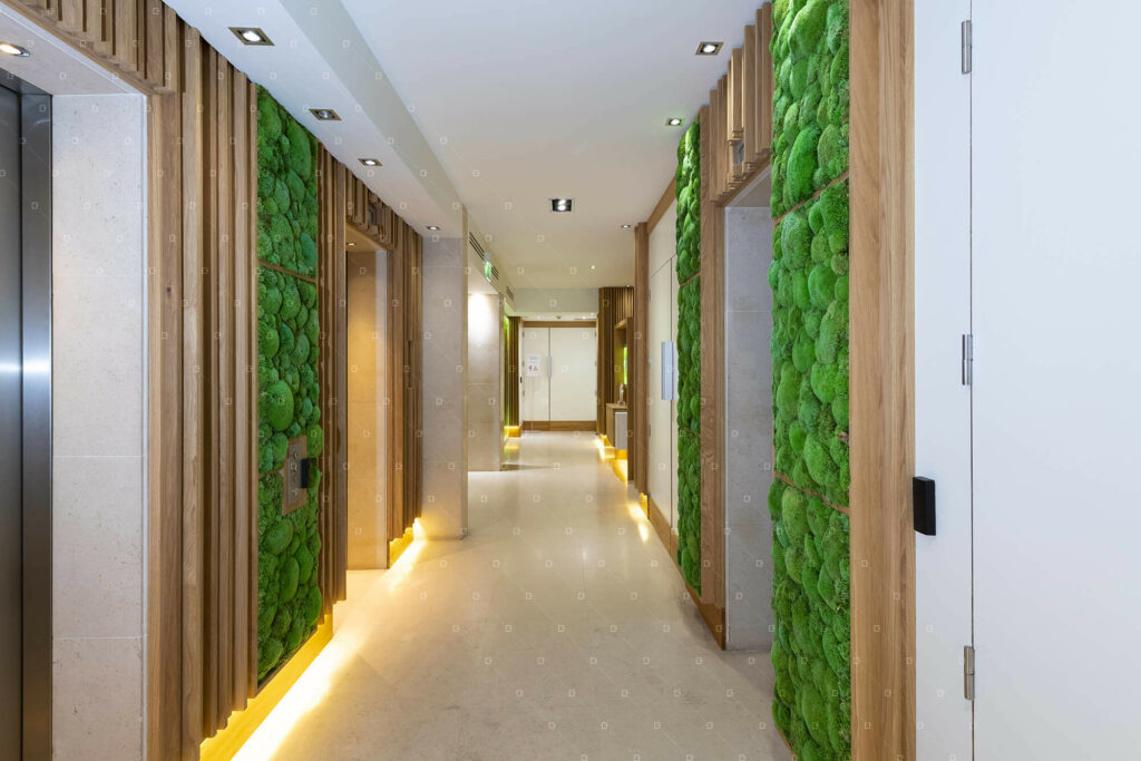 Panneau Acoustique Decor Vegetal Naturel Sans Entretien Paris