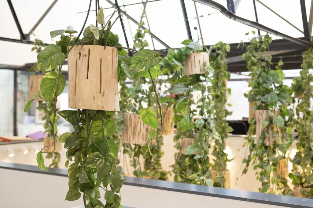 Plafond Vegetal Artificiel Entreprise Decor Sans Entretien Paris