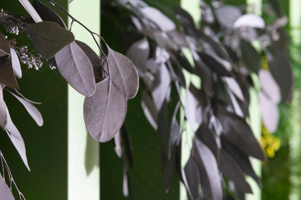 Plantes Interieure De Decoration Bien Etre Au Travail Paris