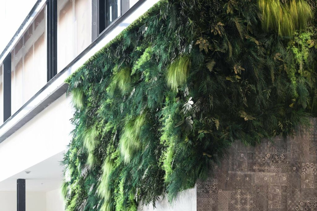 Plantes-Stabilisees-Commerce-Design-Vegetal-Architecte-Reims