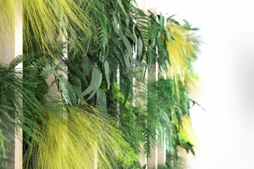 Plantes-Stabilisees-Decor-Salle-De-Sport-Grand-Est-Reims-France