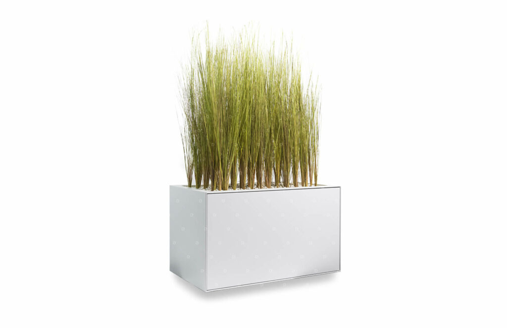 jardiniere-sans-entretien-plante-naturelle-cadre-vert