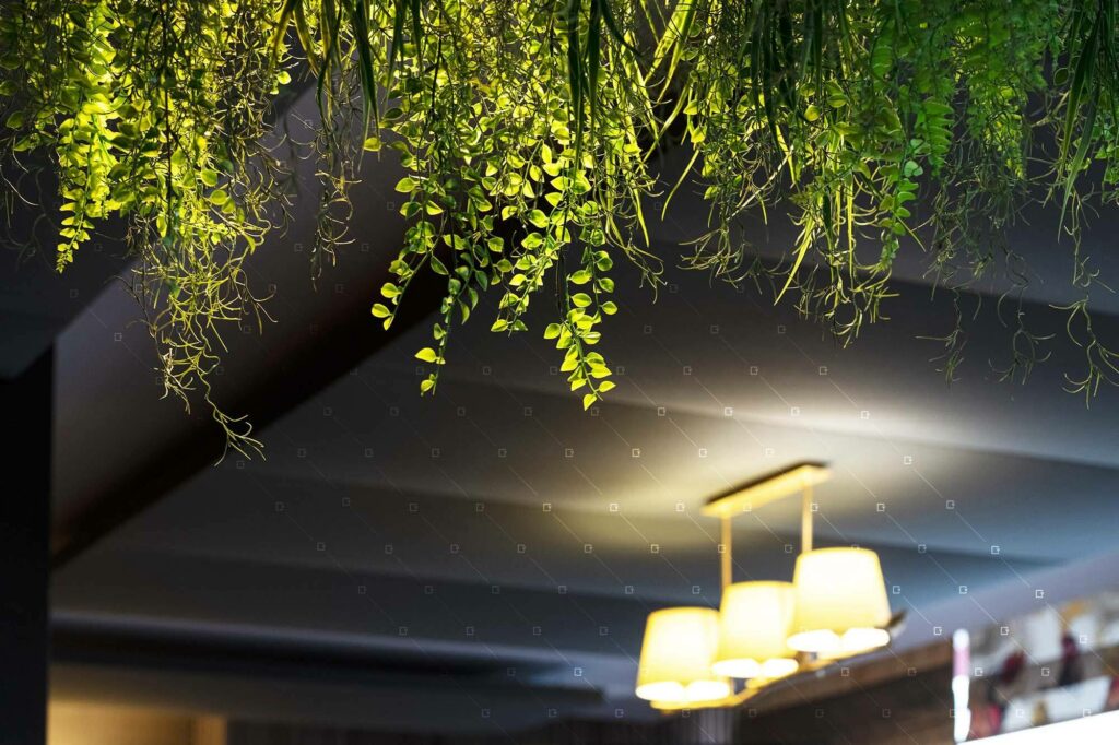 Specialiste-Decor-Vegetal-Synthetiques-Sur-Mesure-Reims-Paris-France