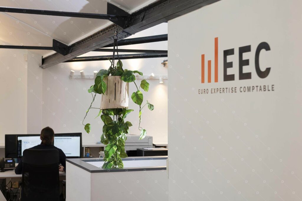 Suspension-Vegetale-Artificielle-Sans-Entretien-Paris-Reims