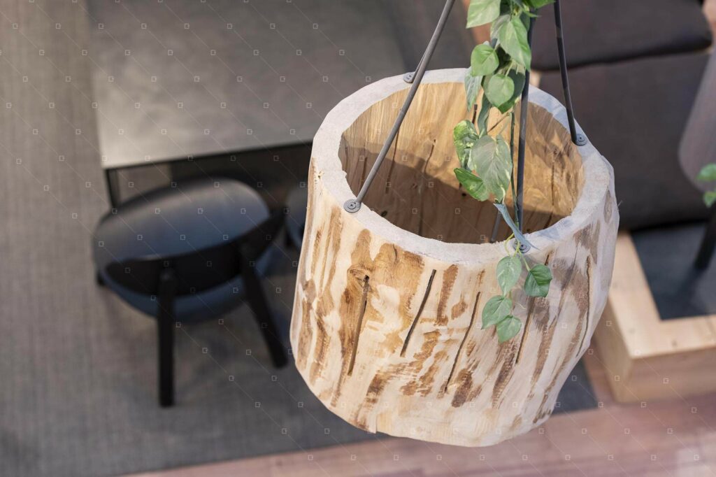Suspension-Vegetale-Decor-Bureau-Rse-Bois-Et-Vegetal-Paris