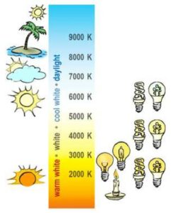 Temperature Eclairage Mur Vegetalise Specialiste Decor Vegetal Sur Mesure France