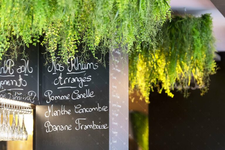 Tendance-Deco-Bien-Etre-Plantes-Synthetiques-Expert-France