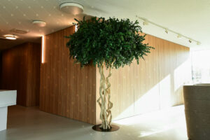 Arbre D Interieur Sur Mesure Entreprise Pro Paris France