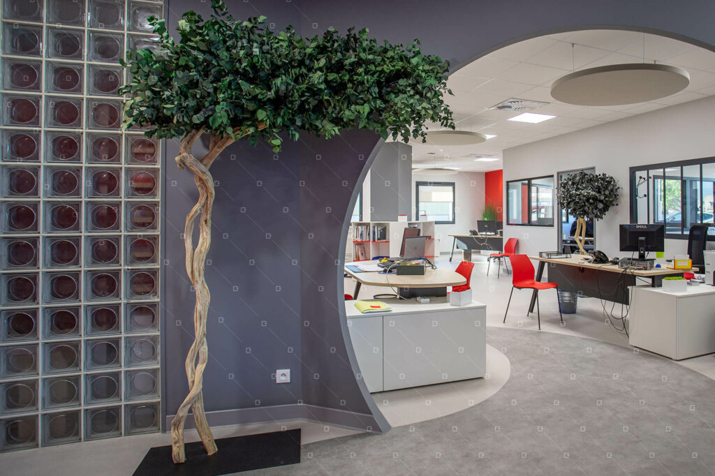 arbre-intérieur-décor-végétal-Royans-Sud