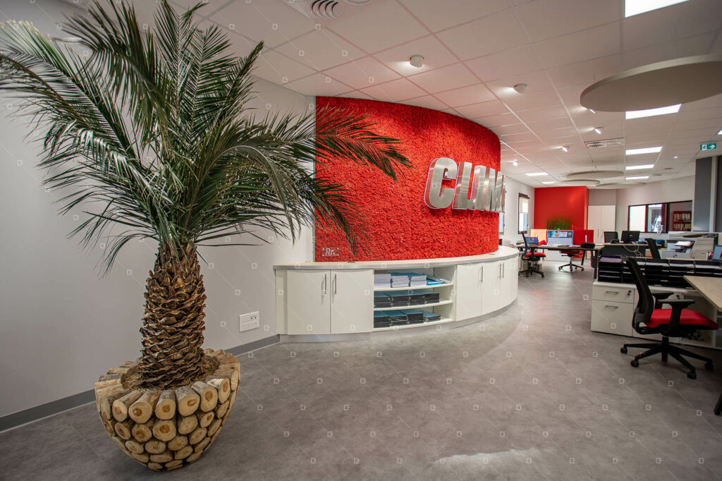 décoration-végétale-entreprise-bureau-espace-de-travail-france