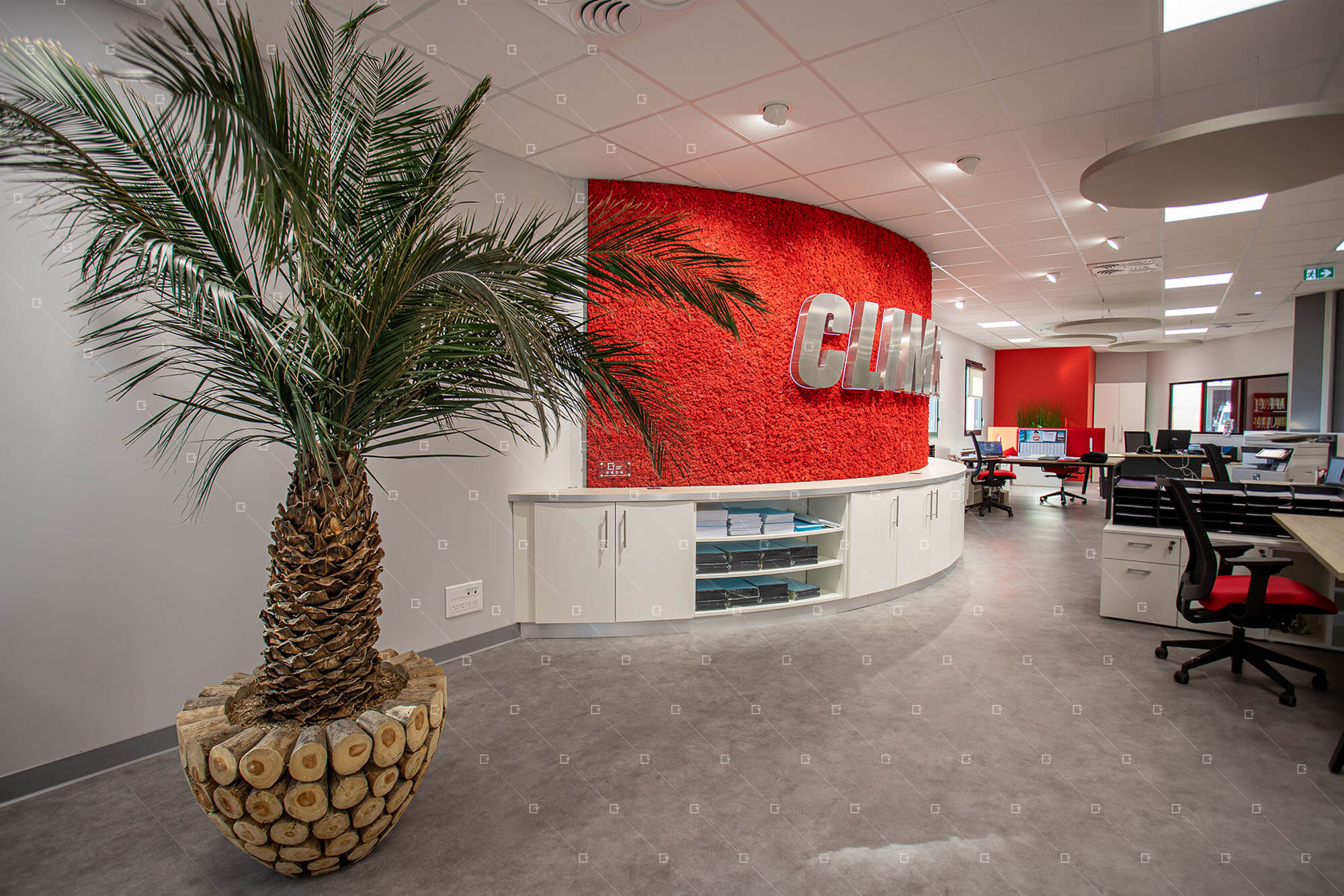 décoration-végétale-entreprise-bureau-espace-de-travail-france