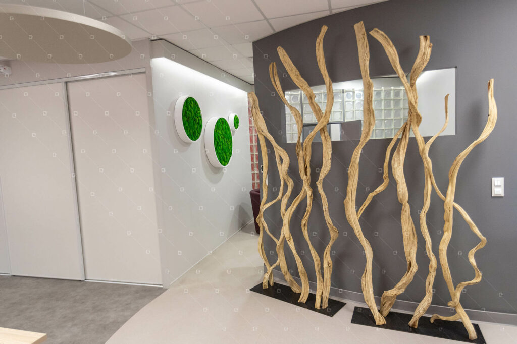 décoration-végétale-sur-mesure-bureau-entreprise-france