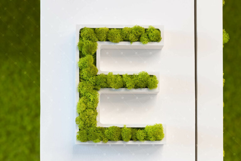 Logo Vegetal Lettrre Vegetalise Entreprise Paris Reims