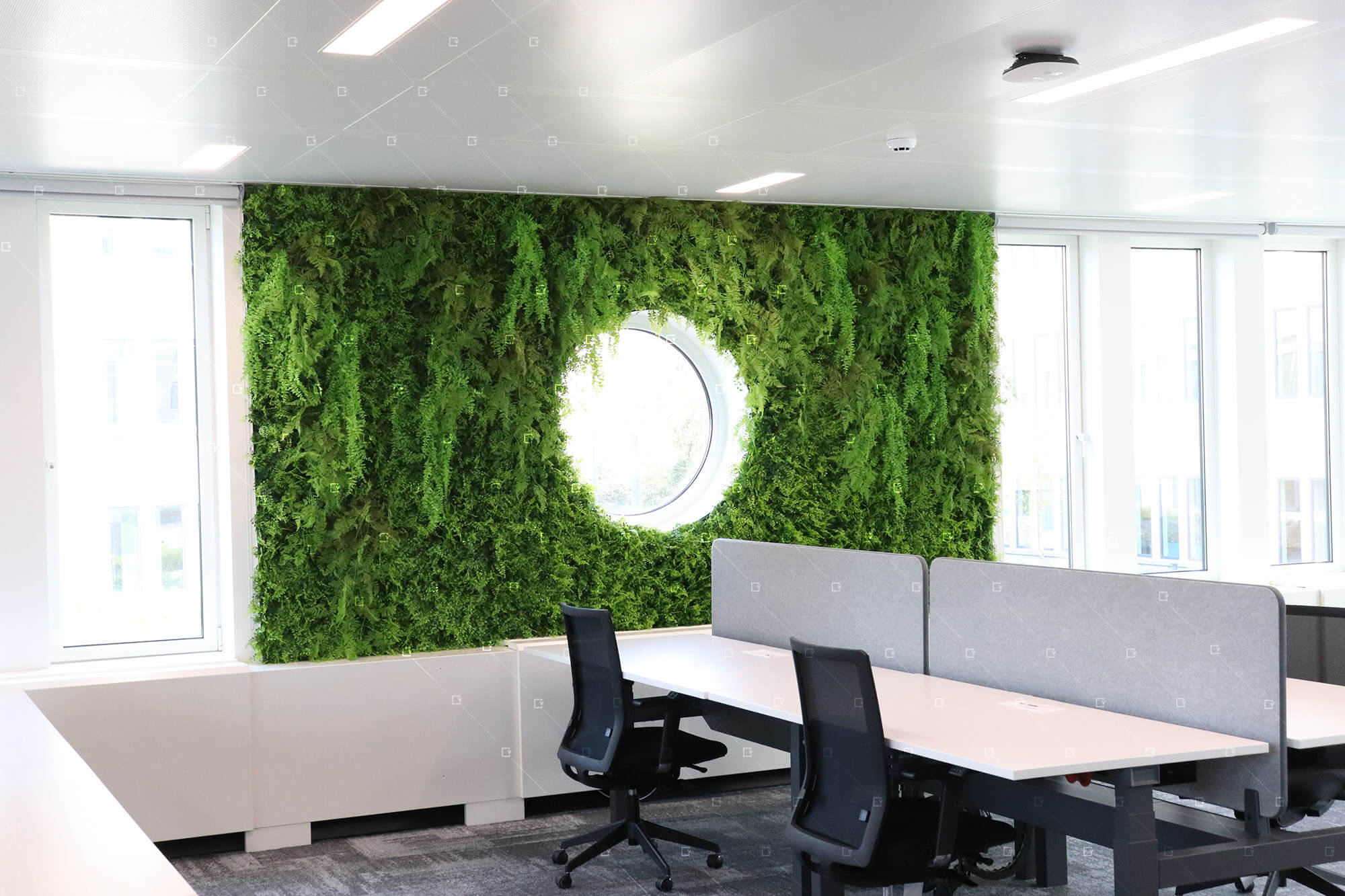 Mur-Vegetal-Artificiel-Decoration-Vegetale-Entreprise-Bureau