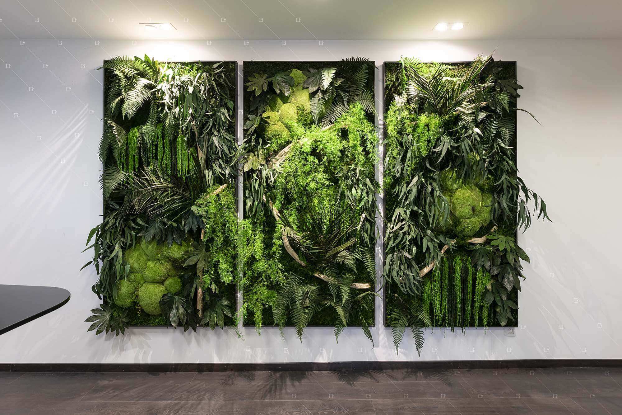 Tableau Vegetal Bureau Entreprise Paris Reims