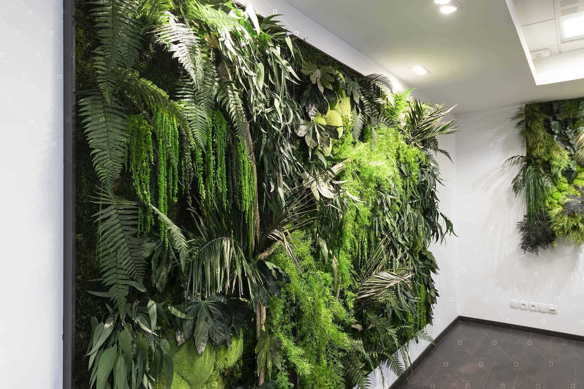 Tableau Vegetal Sans Entretien Bureau Openspace Coworking