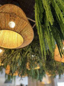 plafond-design-cadre-vert-b-comme-design-suspension-vegetale