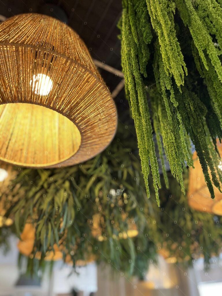 plafond-design-cadre-vert-b-comme-design-suspension-vegetale