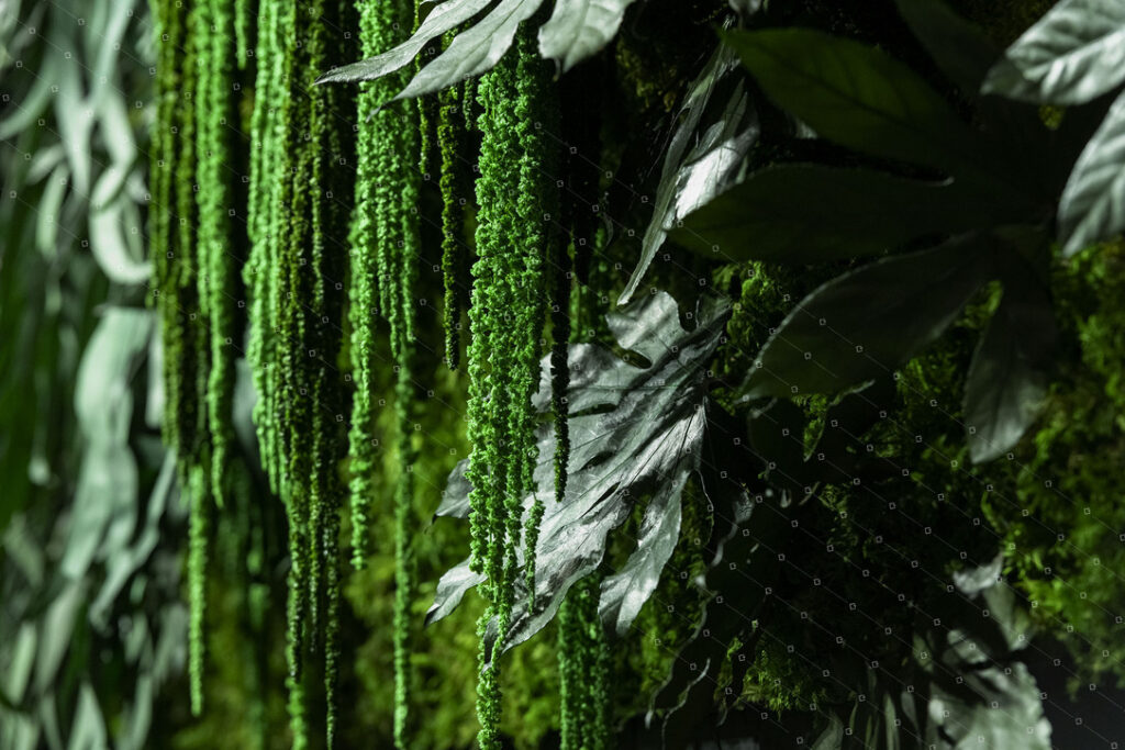Détail amarante du tableau tropical végétal stabilisé réalisé pour l'entreprise Mimco Capital au Luxembourg
